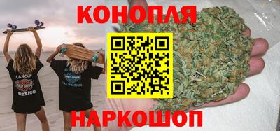 стаф Бузулук