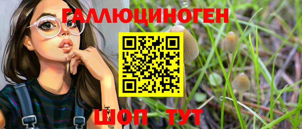 Галлюциногенные грибы GOLDEN TEACHER  Вход с VPN  Ревда  Псилоцибиновые грибы MAGIC MUSHROOMS 
